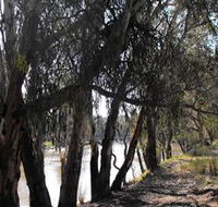 Mia Forest Drives Narrandera - Attractions Perth