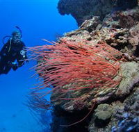 Three Sisters Dive Site - Attractions Perth