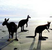 Hibiscus Coast - Attractions Perth