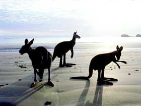 Hibiscus Coast - Attractions Perth 0