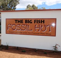 Big Fish Fossil Hut at Peak Hill - Attractions Perth