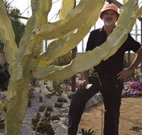 Cactus Country - Attractions Perth