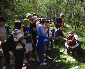 Warrumbungle National Park Discovery Program - Attractions Perth 0