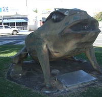 Big Cane Toad - Attractions Perth