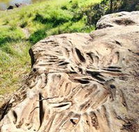 Terramungamine Rock Grooves - Attractions Perth