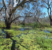 Macquarie Valley Trails - Attractions Perth