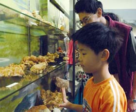 Crystal Kingdom - Attractions Perth 2