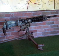 Woodpecker Gun - Attractions Perth