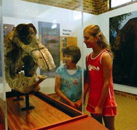 Australian Museum Diprotodon Exhibition - Attractions Perth