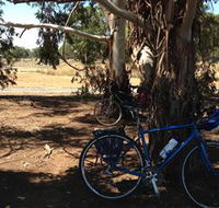 Murchison Rail Trail - Attractions Perth