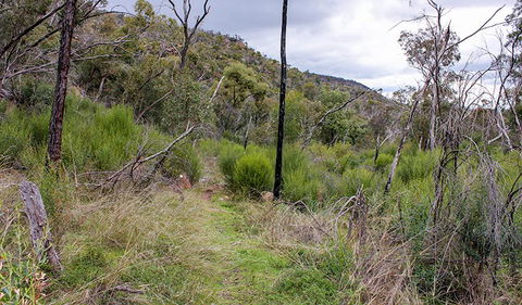 Lynchs Loop Trail - Attractions Perth 0