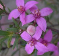 Self Drive Geology and Nature Trails - Attractions Perth