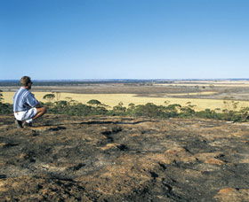 Welbungin ACT Attractions Perth