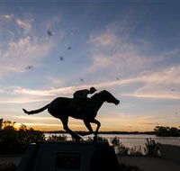 Black Caviar Statue - Attractions Perth
