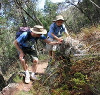 Mount Arthur Reserve - Attractions Perth