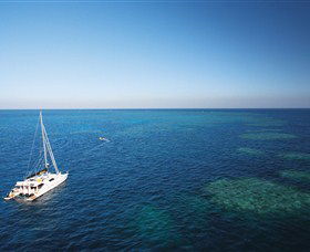 Bait Reef And Garys Lagoon Dive Site - Attractions Perth 0