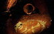 Wellington Caves And Phosphate Mine - thumb 2