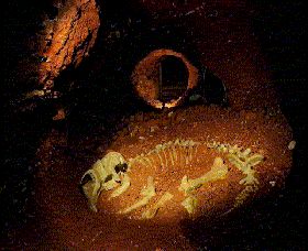 Wellington Caves And Phosphate Mine - Attractions Perth 2