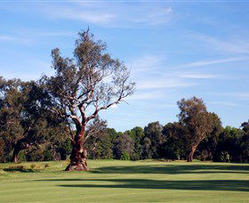 Corowa Golf Club - Attractions Perth 5