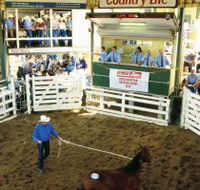 Gracemere Exhibition Complex - Attractions Perth