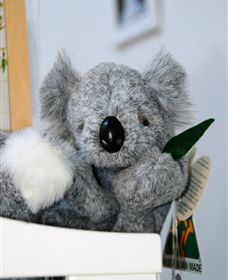 Timboon West VIC Attractions Perth