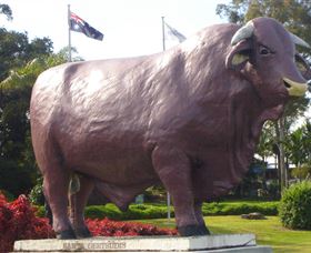 Rockhampton Bull Statues - Attractions Perth 0