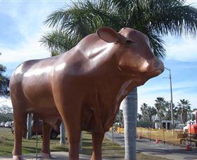 Rockhampton Bull Statues - Attractions Perth 3