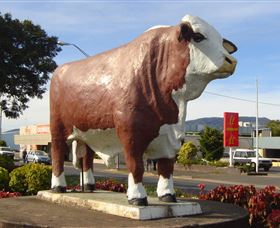 Rockhampton Bull Statues - Attractions Perth 2