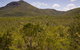 Kutini-Payamu (Iron Range) National Park (CYPAL) - thumb 0