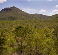 Kutini-Payamu Iron Range National Park CYPAL - Attractions Perth