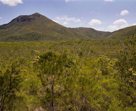 Kutini-Payamu (Iron Range) National Park (CYPAL) - Attractions Perth 0