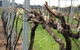Stockmans Ridge Wines - thumb 1