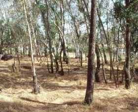 Chiltern-Mt Pilot National Park - Attractions Perth 0