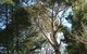 Habitat Vineyard - thumb 1