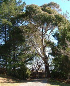 Habitat Vineyard - Attractions Perth 1