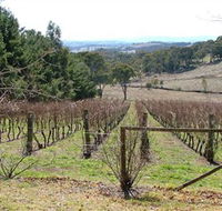 Habitat Vineyard - Attractions Perth