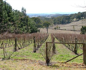 Habitat Vineyard - Attractions Perth 0