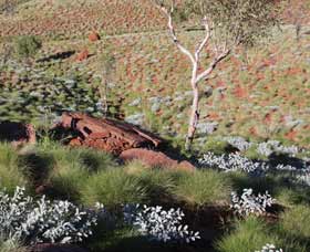Camel Trail, Millstream-Chichester National Park - Attractions Perth 2