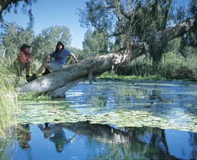 Millstream Chichester National Park - Attractions Perth 1