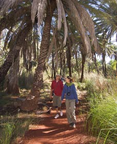 Millstream Chichester National Park - Attractions Perth 2