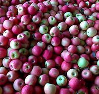 Hillside Orchard - Attractions Perth