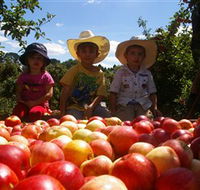 Bonny Glen Fruits - Attractions Perth