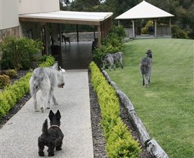 Otway Estate - Attractions Perth 5