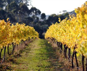 Otway Estate - Attractions Perth 6