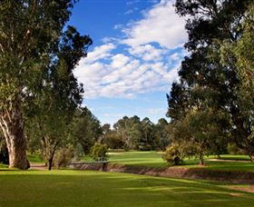 Commercial Golf Course - Attractions Perth 0