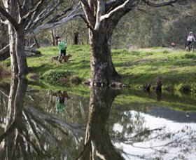 Albury - Murray River Precinct - Attractions Perth 3
