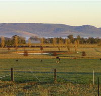 Holbrook Landcare Self-Drive Eco Tour - Attractions Perth