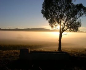 Patina Wines - Attractions Perth 0