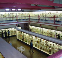 National Museum of Australian Pottery - Attractions Perth