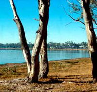 Lake Broadwater Conservation Park - Attractions Perth